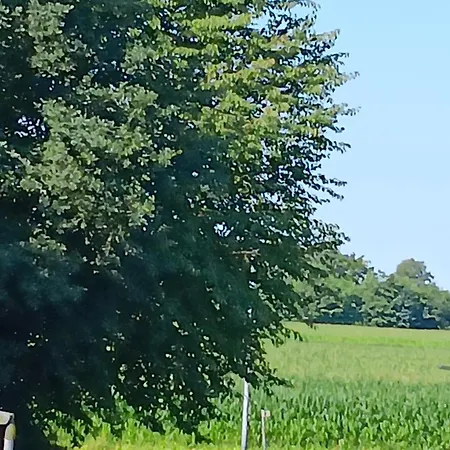 Sonnenwinkel Appartamento *